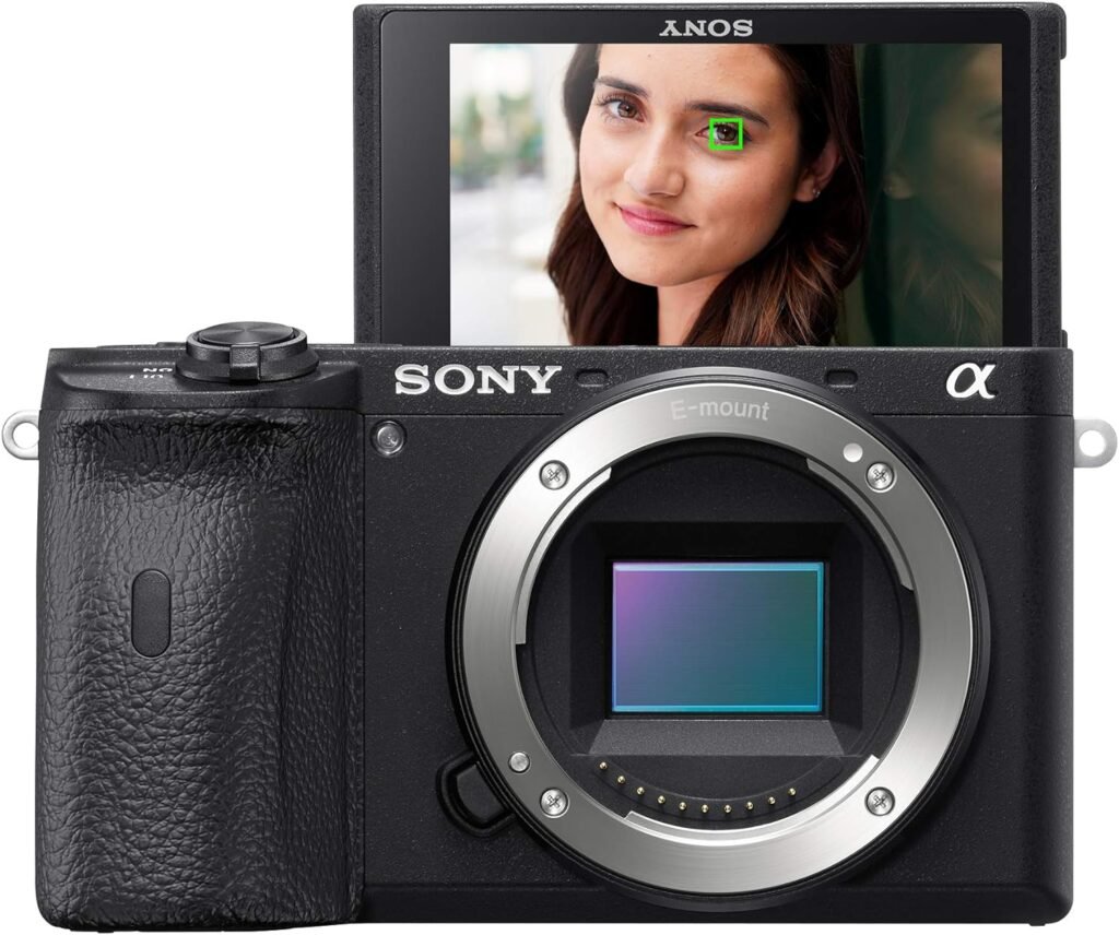 Sony Alpha A6600 Mirrorless Camera