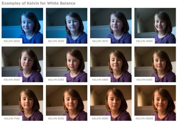 How Do I Calibrate The White Balance On My Camera?